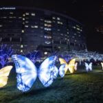 “Light Up the Lawn, Light Up a Life” Returns with New Attraction